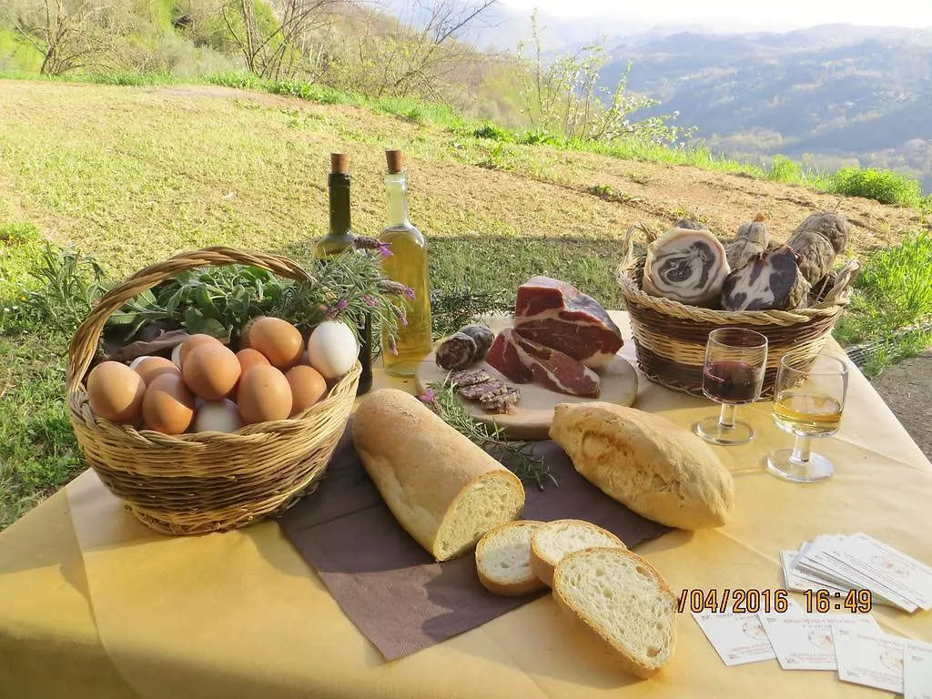 Agriturismo Profumo Di Natura Villa Fivizzano Farm stay